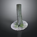 Natural Tree Stump Decor With Exposed Roots And White Gravel Base