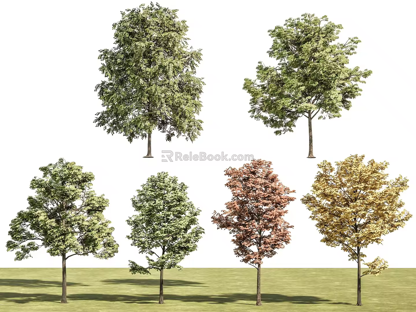 arbor tree landscape tree pool arbor street tree maple tree courtyard tree pomegranate tree apple tree orange tree peach tree 3d model