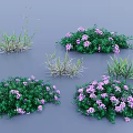 Vibrant Lush Green Grass And Purple Flowers In Herbaceous Plant Clusters