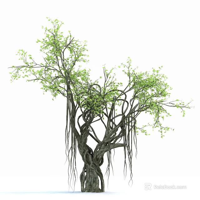 Tropical Tree With Twisted Trunks Hanging Aerial Roots And Fresh Green Leaves 3d model 