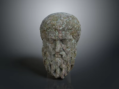 Professional Medical Anatomy Head Model Device For Educational Training And Clinical Use 3d model