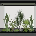 Modern Indoor Landscape In Glass Container With Cacti Palm Plants And Succulents