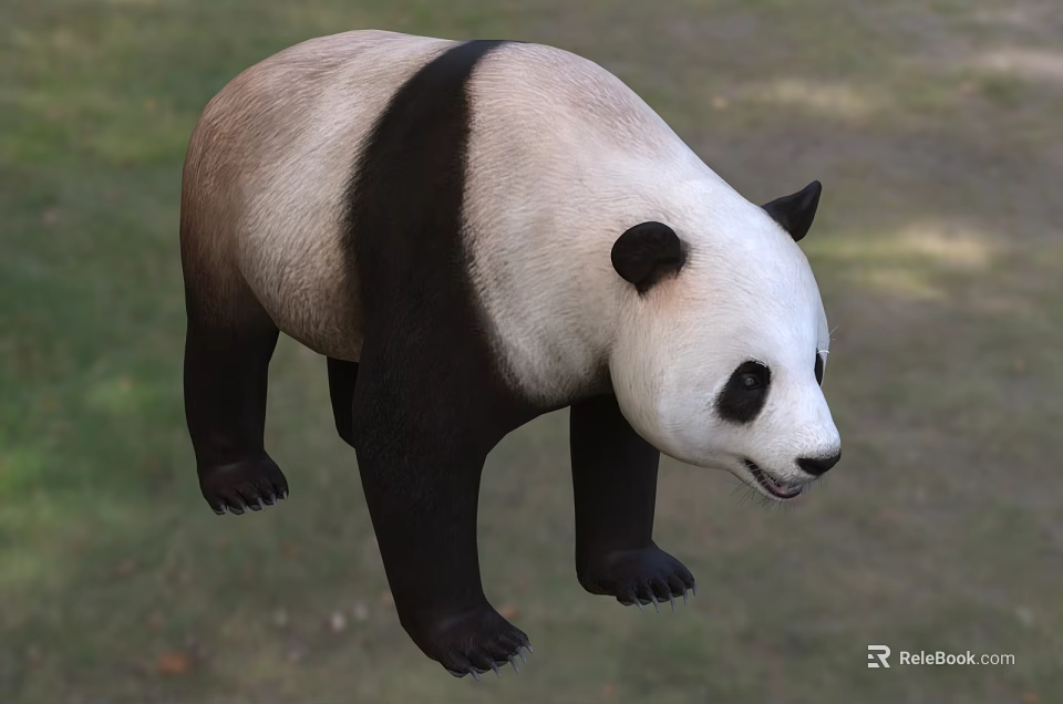 Black And White Reptile Standing On Green Grassland Surface 3d model 