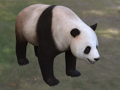 Black And White Reptile Standing On Green Grassland Surface 3d model