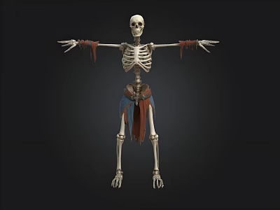 3D Skeleton Model With Outstretched Arms And Cloth Strips On Dark Background 3d model