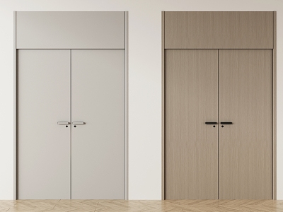 Modern double door double door combination 3d model