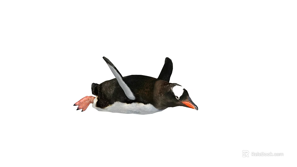 Adorable Black And White Penguin With Orange Beak And Pink Feet Swimming Gracefully 3d model 