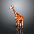 Giraffe Shaped Ceramic Decorative Figurine For Home Living Room Table Decoration