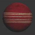 Red Leather Cricket Ball With White Stitching For Professional Sports Matches