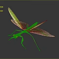Detailed Green Mantis With Transparent Patterned Wings And Slender Body On Dark Background