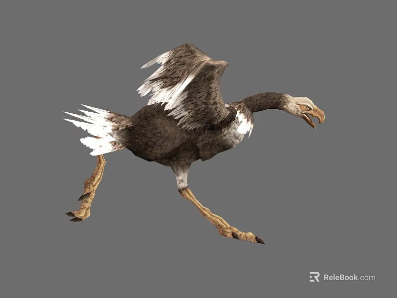 Realistic Ancient Reptile 3D Model Running With White Feathers On Gray Background 3d model 