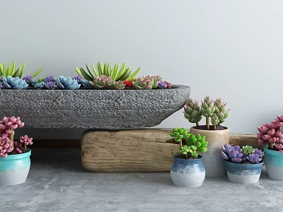 Modern potted succulents garden sketch 3d model