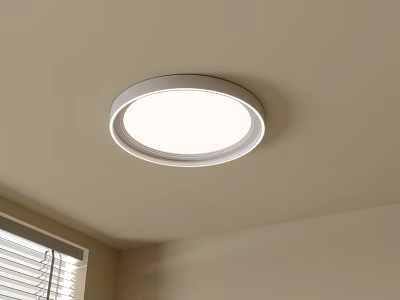 Round White Ceiling Light with Gray Frame Mounted on Light Ceiling Near Window with Blinds 3d model