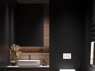 Modern Bathroom Interior Design With Black Walls Wooden Panels White Sink And Dried Plants Vase 3d model