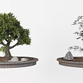 Two Ornamental Arbor Trees Planted in Circular Brick Planters With Stones And Soil