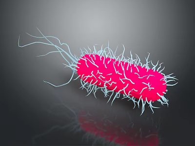 Pink Bacterium Organ Structure With Hair Like White Cilia And Reflection On Gray Background 3d model