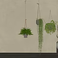 Lush Hanging Plants with Trailing Vines in Minimalist Planters for Indoor Decoration