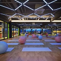 Modern Yoga Fitness Studio With Pink Blue Exercise Balls Wooden Floor And Geometric Lighting