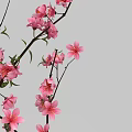 Tree Shaped Art Installation With Pink Blossoms Brown Trunk White Background And Shadow