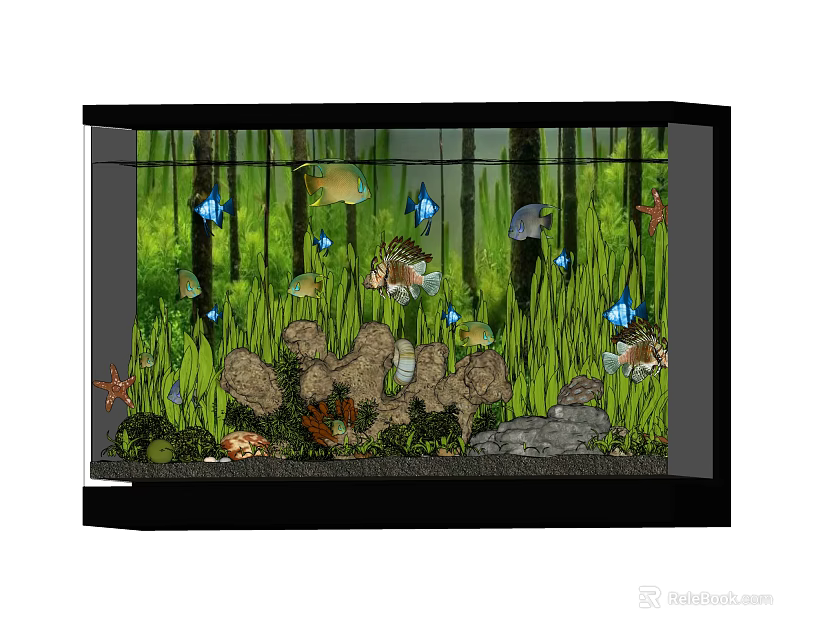 Colorful Freshwater Aquarium with Fish Aquatic Plants Rocks and Starfish Decorations 3d model 