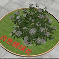 White Hydrangea Flowers Blooming Fresh On Circular Green Lawn Arrangement