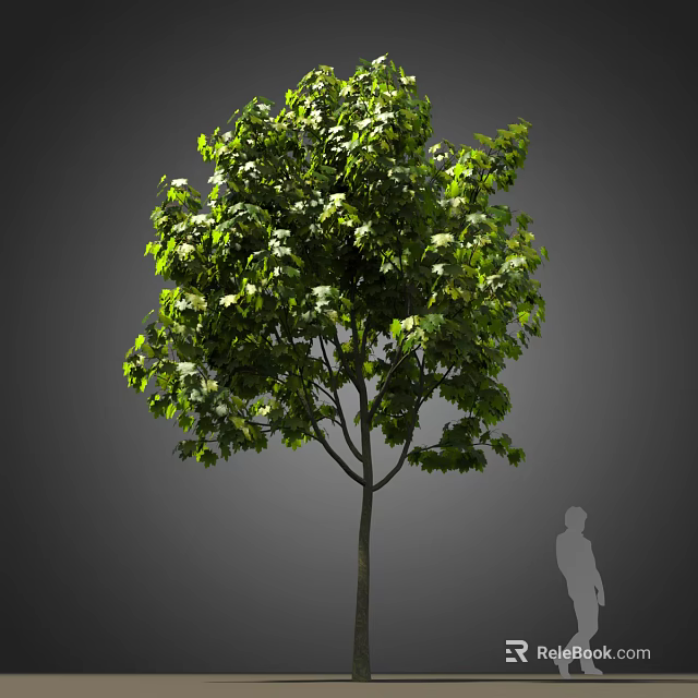 Tall Lush Green Arbor With Dense Foliage And Human Silhouette For Scale 3d model 