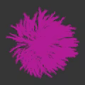 Ornamental Grass With White Feathery Slender Leaves And Fluffy Appearance Against Black Background