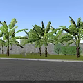 Rural Landscape With Banana Trees Gray Wall Grass And Paved Road Under Blue Sky