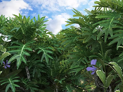 Lush Green Shrub With Glossy Leaves And Purple Flowers Under Blue Sky With Clouds 3d model