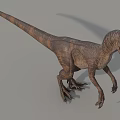 Realistic Standing Reptile Dinosaur With Brown Skin Long Tail And Sharp Claws