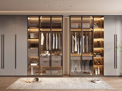 Modern Wardrobe Interior Design With Glass Doors Lighting Organized Shelves And Hanging Areas 3d model