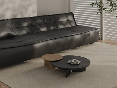 Round Black And Brown Coffee Tables On Rug With Sofa And Plant In Living Room 3d model