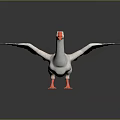 White Goose With Spread Wings Orange Beak And Orange Feet Standing On Dark Background