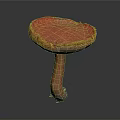 Mushroom Organ Structure With Red Cap Yellow Edge And Hair Like Texture