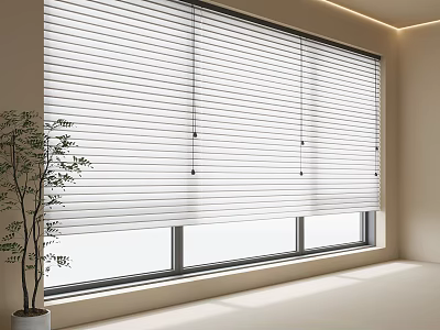 White Venetian Blinds On Window In Modern Minimalist Room With Natural Light And Green Plant 3d model