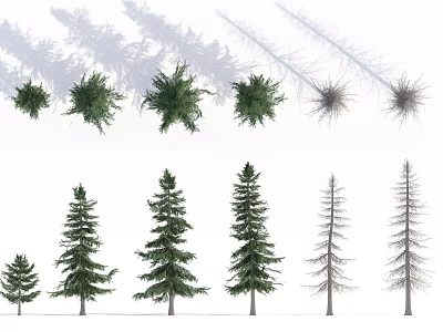 Various Arbor Tree Types with Different Sizes and Shadow Effects in Design 3d model
