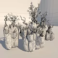 Unique Sculptural Arbor With Twisted Dry Branches On Rocky Base