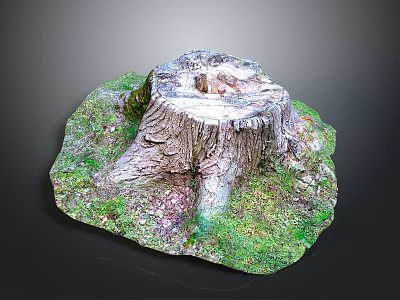 Natural Tree Stump with Textured Surface Surrounded by Green Moss and Grass 3d model