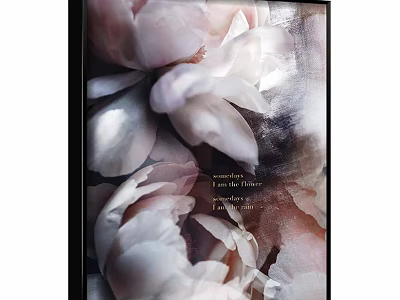 Botanical Plant Painting Featuring Pink Peony Flowers In Framed Artwork 3d model