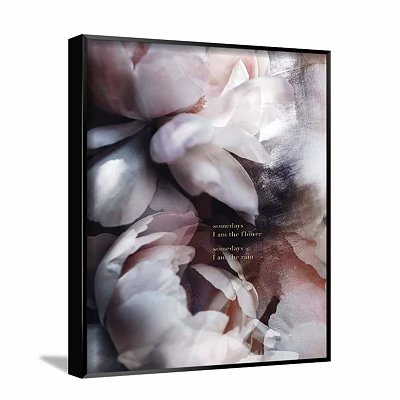 Botanical Plant Painting Featuring Pink Peony Flowers In Framed Artwork 3d model