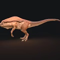 Two Realistic Brown Dinosaur Models With Detailed Skin In Different Poses