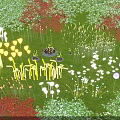 Colorful Outdoor Lights with Various Shapes for Garden Lawn Decorative Illumination