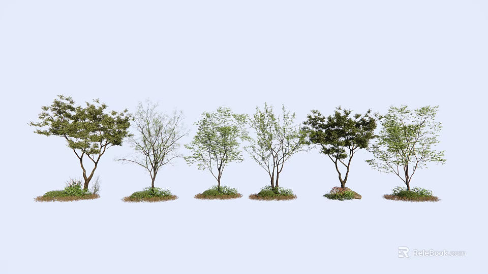 Various Arbor Tree Types With Diverse Foliage And Natural Trunk Features 3d model