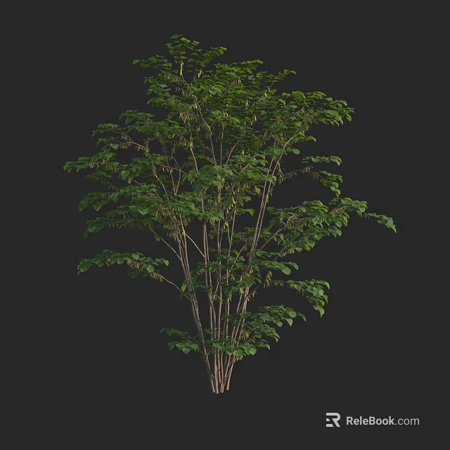 Vibrant Green Arbor With Dense Foliage And Slender Branches In Natural Growth 3d model 