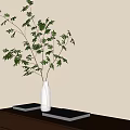 Bonsai Plant with Green Foliage in Gray Vase on Wooden Table Against Window Blind Shadows