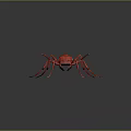 Detailed Shiny Red Ant With Long Antennae And Legs On Dark Background