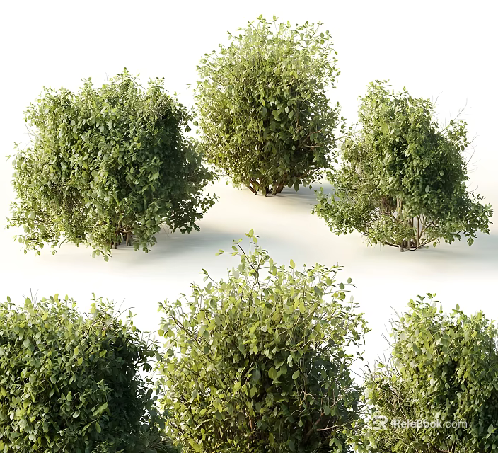 Lush Green Bushes In Various Sizes With Dense Foliage For Garden Landscaping 3d model 