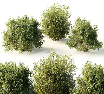 Lush Green Bushes In Various Sizes With Dense Foliage For Garden Landscaping 3d model
