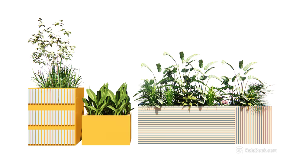 Bonsai and Potted Plants in Colorful Striped Planters with Green Leaves and White Flowers 3d model 