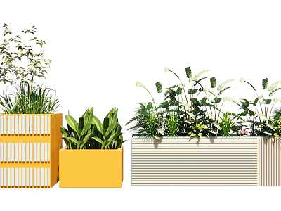 Bonsai and Potted Plants in Colorful Striped Planters with Green Leaves and White Flowers 3d model